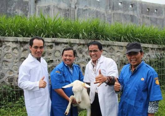 Upaya Tingkatkan Populasi Sapi dan Kerbau Di Indonesia, Dirjen PKH Kementan Dan Komisi IV DPR RI Sepakat Optimalkan Peran UPT Perbibitan